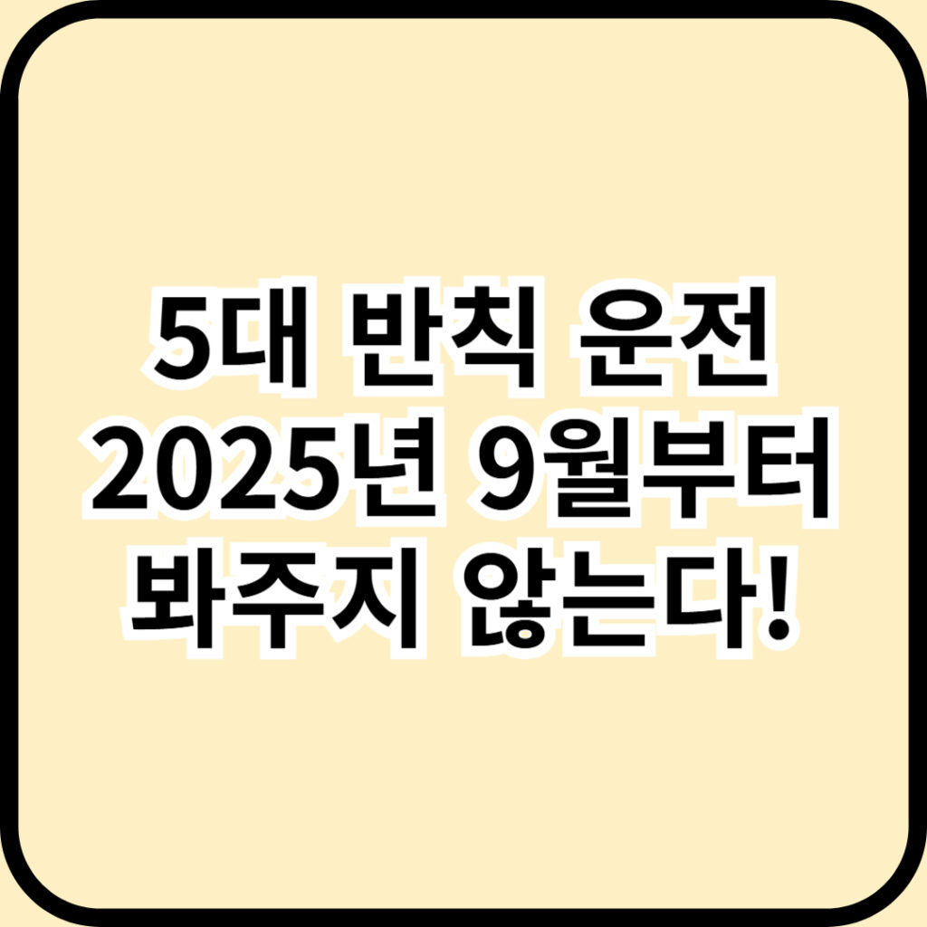 2025년 달라진 교통단속 - 5대 반칙 운전 이제 절대 봐주지 않는다!